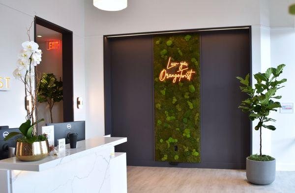 Transformed OrangeTwist's new Houston location with a custom moss wall and some vibrant greenery!