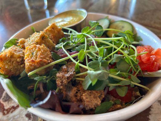 Falafel half Falafel Salad