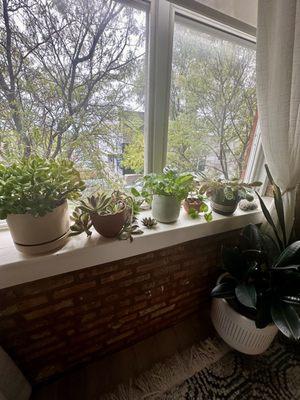 Sun gently shines through the window giving the therapy room a calming effect.