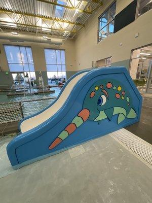 Toddler pool slide