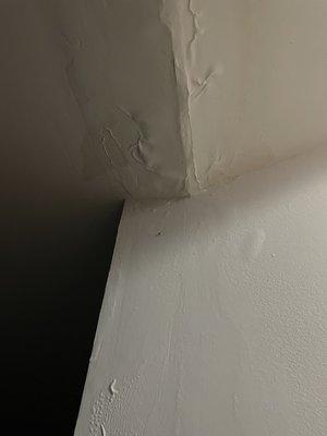 Leak damage to ceiling and wall