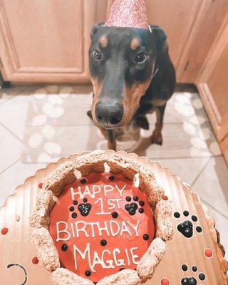 Maggie excited to eat her first birthday cake!