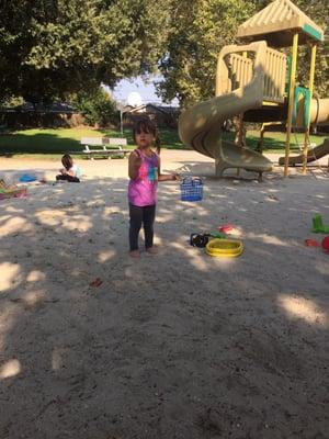 Picnic area in the background