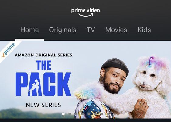 Find Josh and Snow on Amazon Prime Video new series, The Pack!