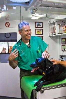 Dr. RIchard Goldstein, DVM, Diplomate American Board of Veterinary Practitioners