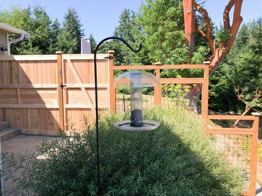 This fence is 7' tall on the left, has a gate and then is 6' hog wire across garden. It steps down on the right 4' and then continues there.