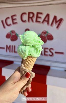 Pistachio in a Sugar Cone