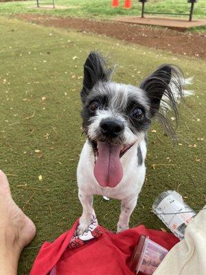 Sumi so happy at the park