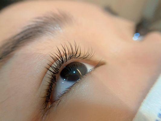 Nature lashes extensions