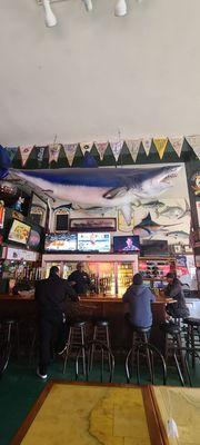 It's a bar. But it's a bar with a shark dangling from the roof.