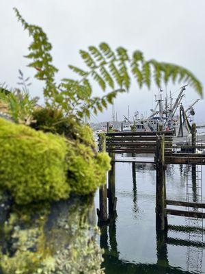 Marine area around Ketchican, AK