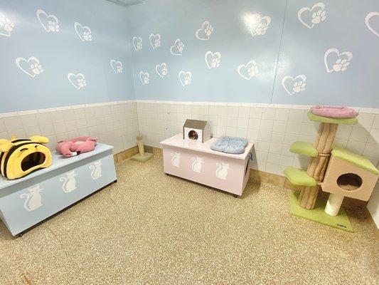 Visit the recently renovated kitten room with many adorable babies waiting to be adopted.