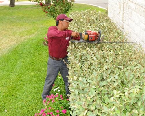 Lawn mowing, fertilization, sprinkler repair and landscaping