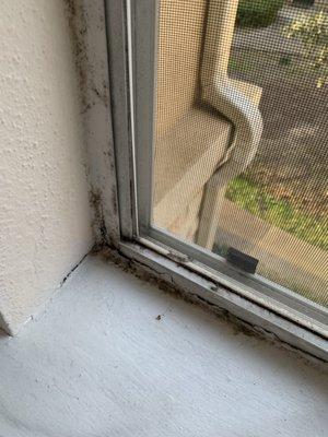 Mold on ALL windows - was never addressed even after multiple emails and calls.