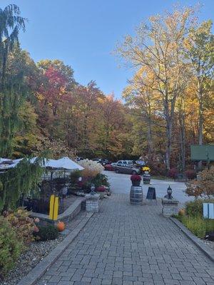 Patio view