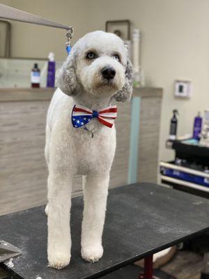 So ready for my 'Close-Up' fully formal, Bow-Tie and all!