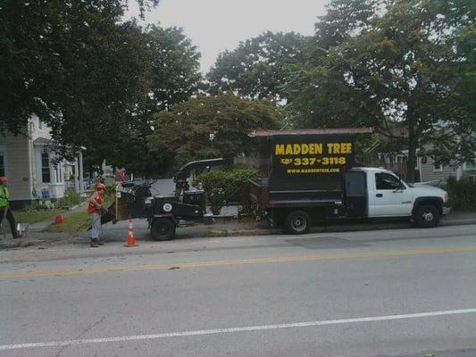 Removal of cut tree branches and yard clean up