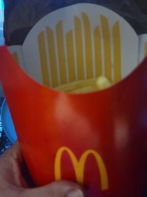 "Large" order of fries, including the two that fell out in the bag.