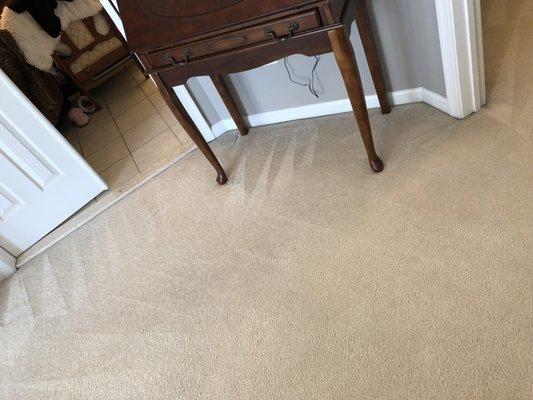 AFTER CLEANING-Pet stains GONE!