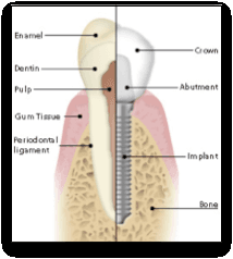 Zech Ralph, MS, DDS