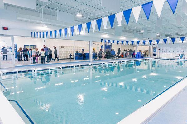 Fairfax's state-of-the-art pool with ultra clean 90-degree water