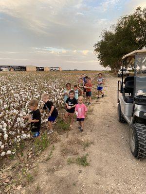 Kids checking out cotton field