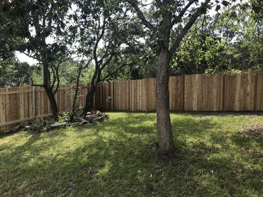 Fence looks great!  Now about the grass....