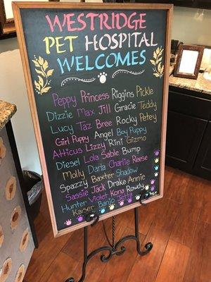 I love this! They update this everyday to welcome their patients!