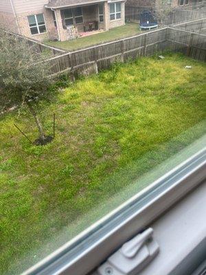 Supposedly, i am paying $30 every 2 weeks for lawn care!