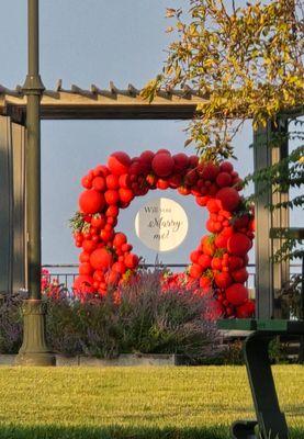 Proposal Balloon Backdrop