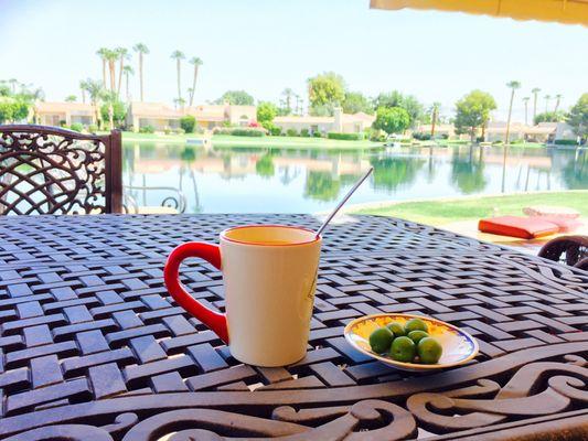 Morning on the patio...