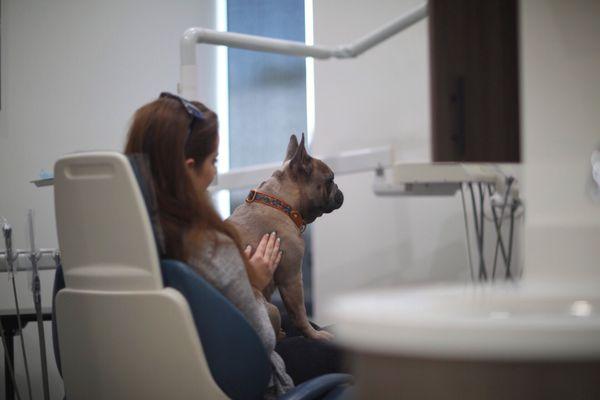 One of the therapy dogs calming me down before meeting with the dentist.