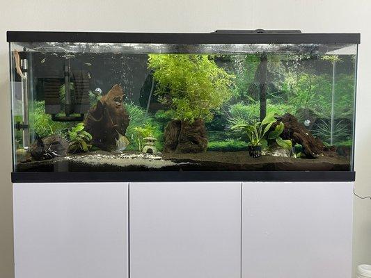 Fish tank