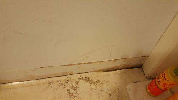 Shower in basement leaked everywhere. The basement smells of mold.