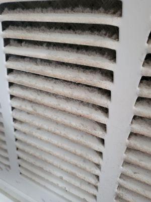 Air conditioner vent has not been cleaned in many, many months.