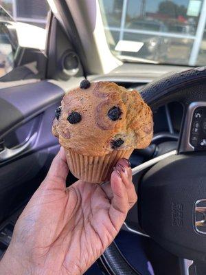 Muffins gone wild