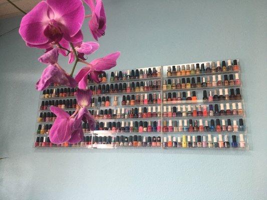 Nail color display