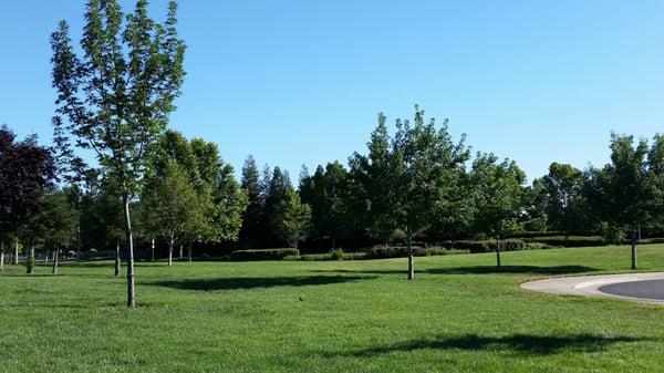 Mary Hull Lewis Park