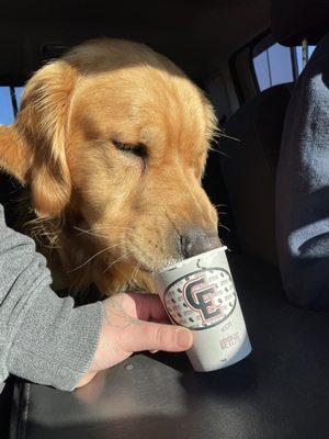 Pup cup