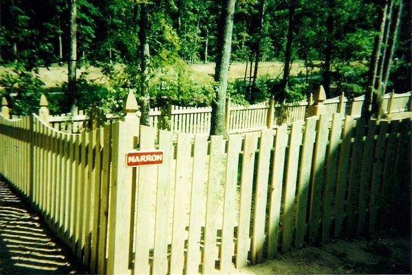 Concave picket with French Gothic Posts