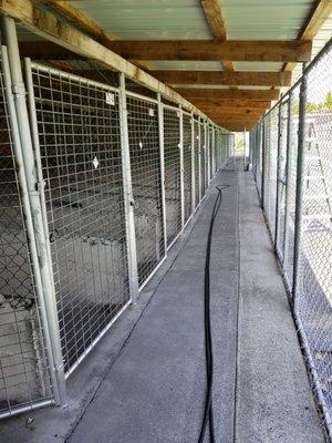 Walk way in kennel