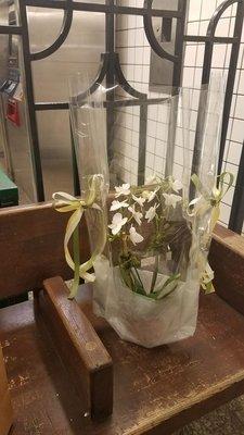 $20 orchid  (gift wrapping was generously done for free). They did give a shopping bag, I just took it out for this pic.