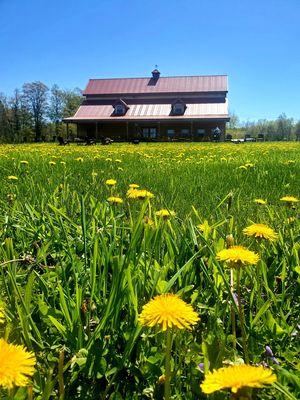 View of distillery from the field