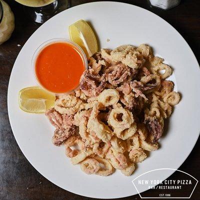 Fried calamari, served with our housemade tomato sauce.