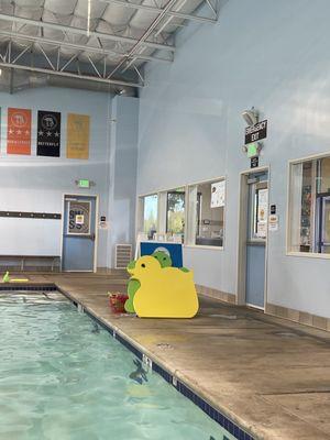 Steve Wallen Swim School