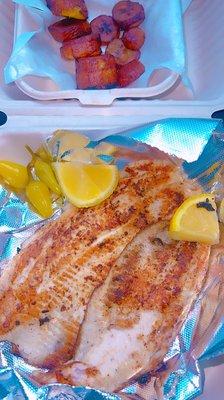 Grilled TROUT