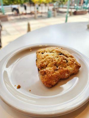 Chocolate chip scone