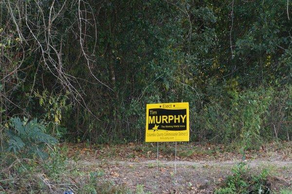 Local Political Yard Signs