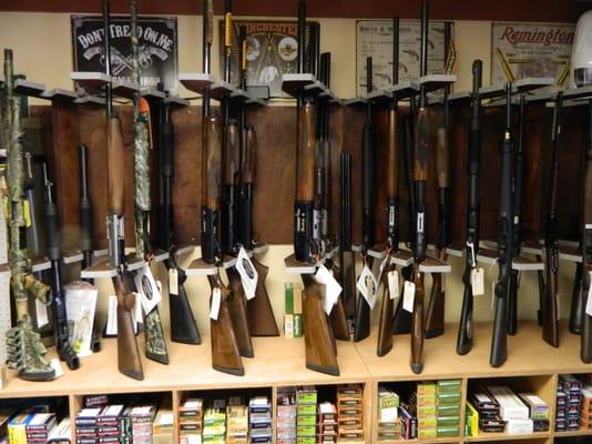 Wide selection of shotguns