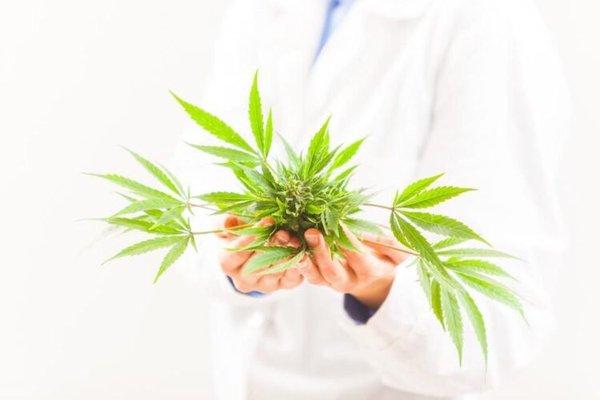 Miracle Medical Cannabis